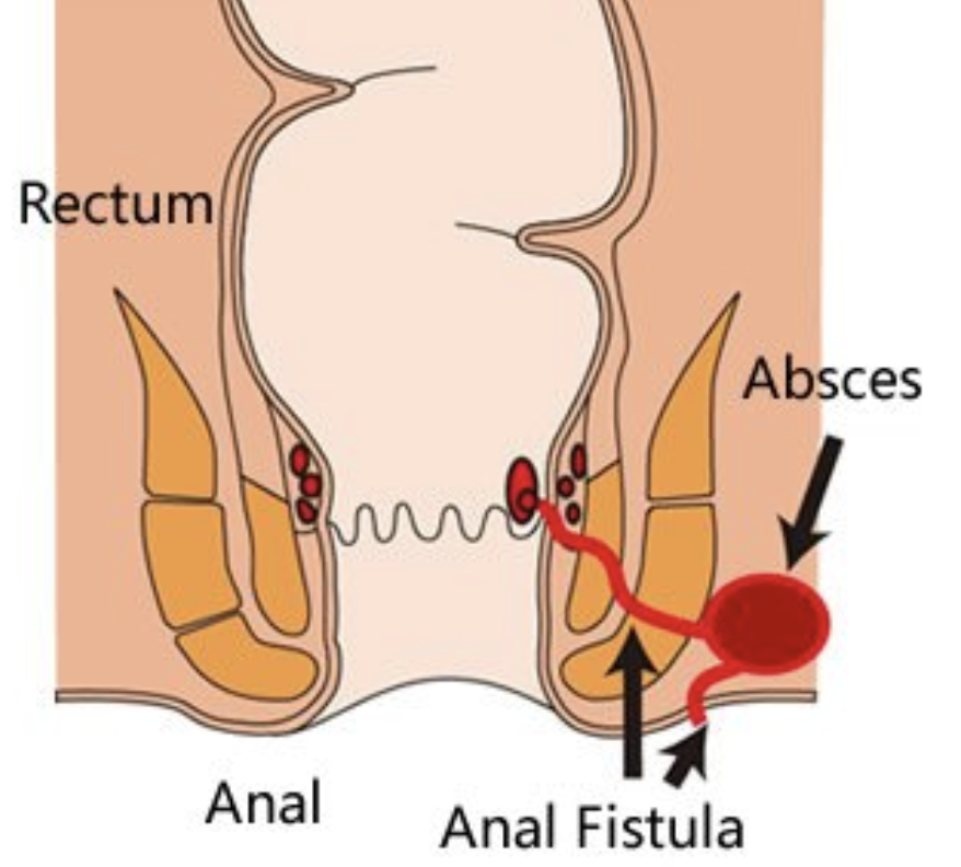 Screenshot 2025 06 14 at 2.12.57 PM